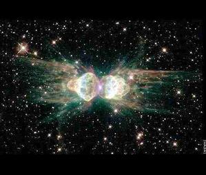 fourmi--nebuleuse-de-la-.JPG